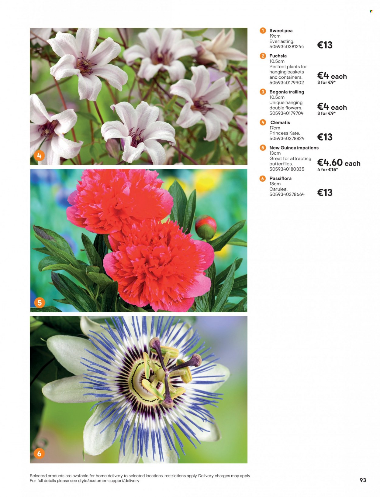 B&Q offer  - Sales products - hanging baskets. Page 93.