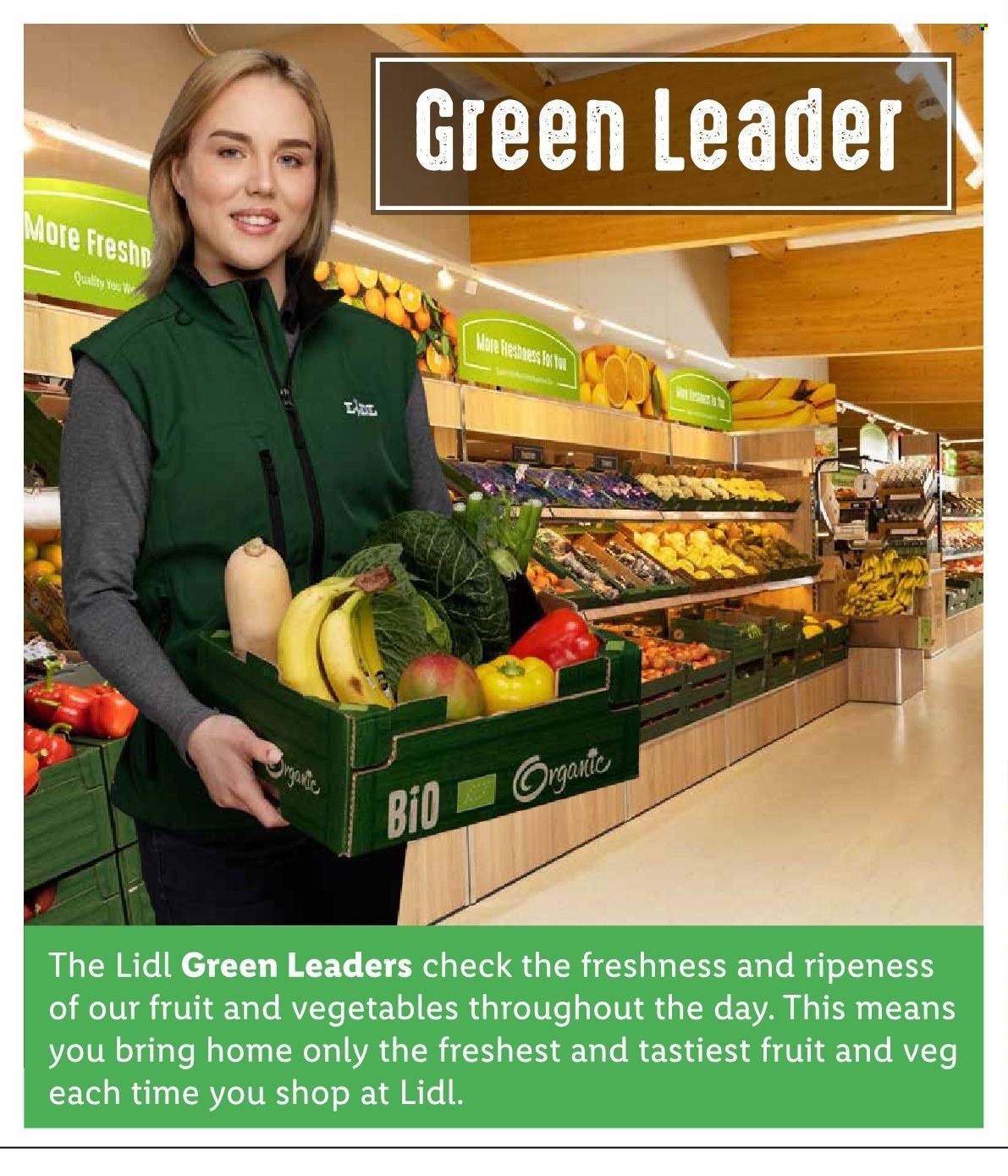 Lidl offer  - Sales products - leader. Page 24.