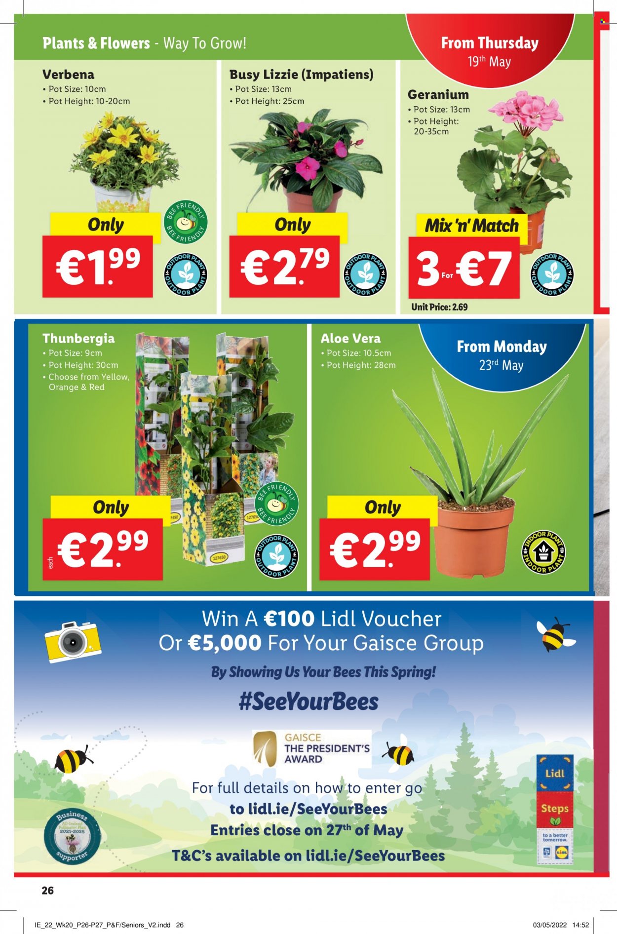 Lidl offer  - 19.5.2022 - 25.5.2022 - Sales products - orange, Président, pot, plant, flowers. Page 26.