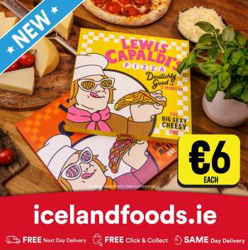 Iceland Dublin leaflets