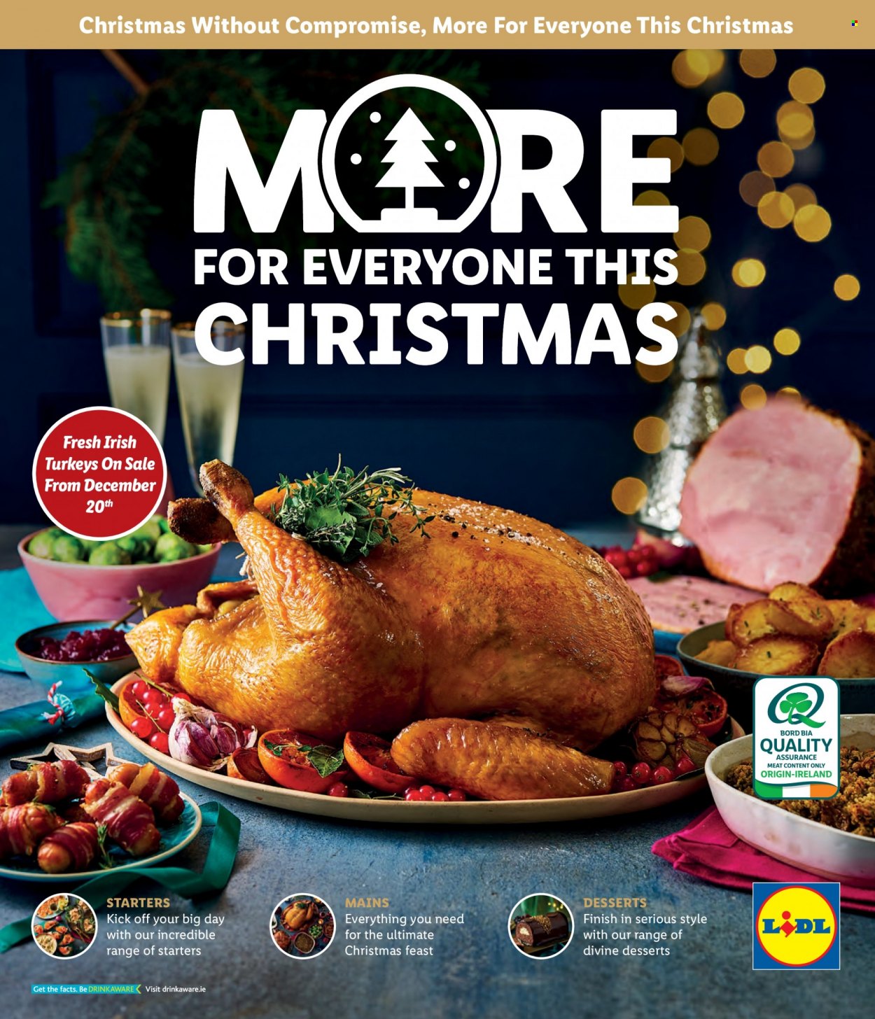Lidl offer  - Sales products - turkey meat. Page 1.