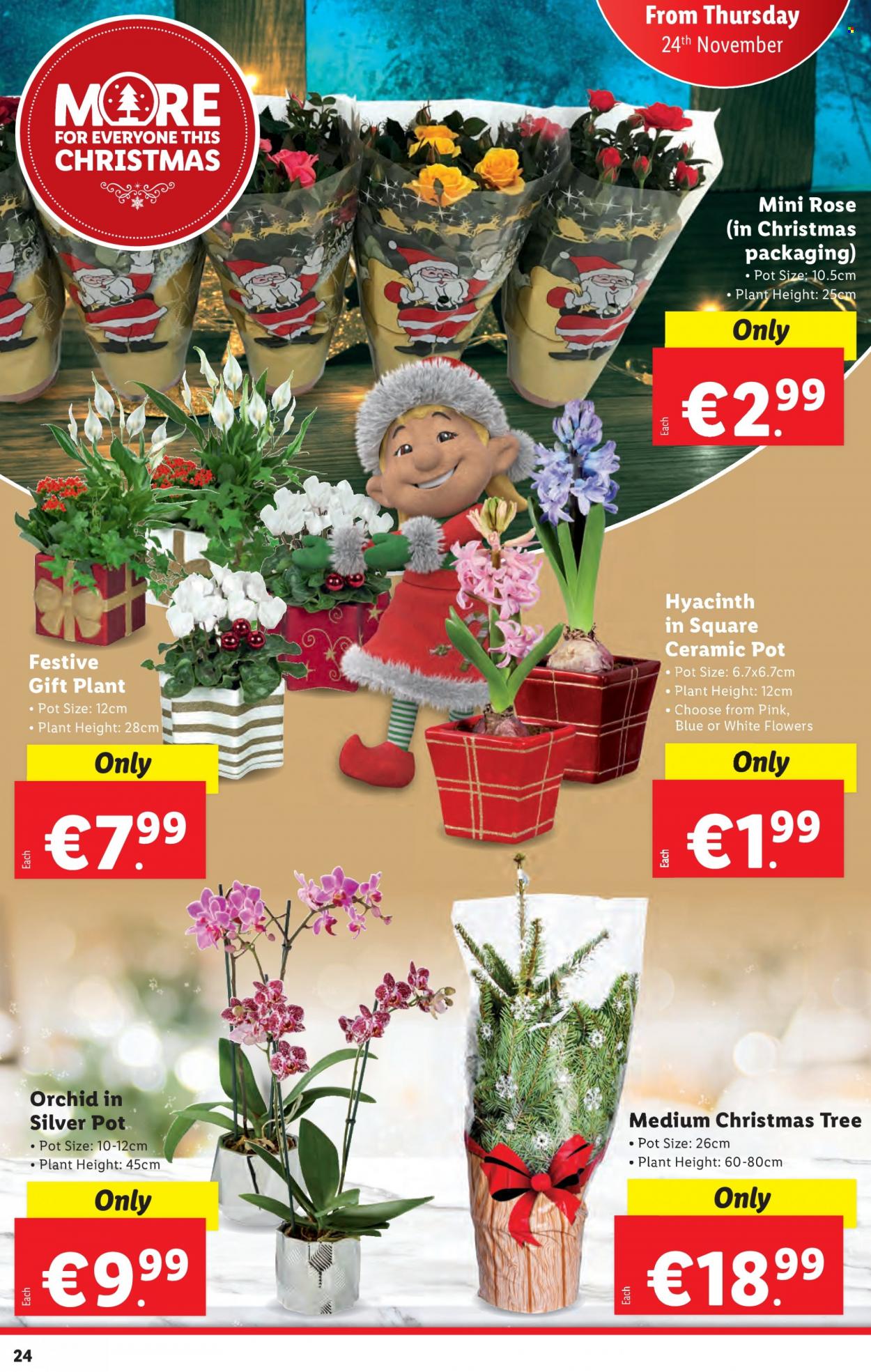 Lidl offer  - 24.11.2022 - 30.11.2022. Page 24.