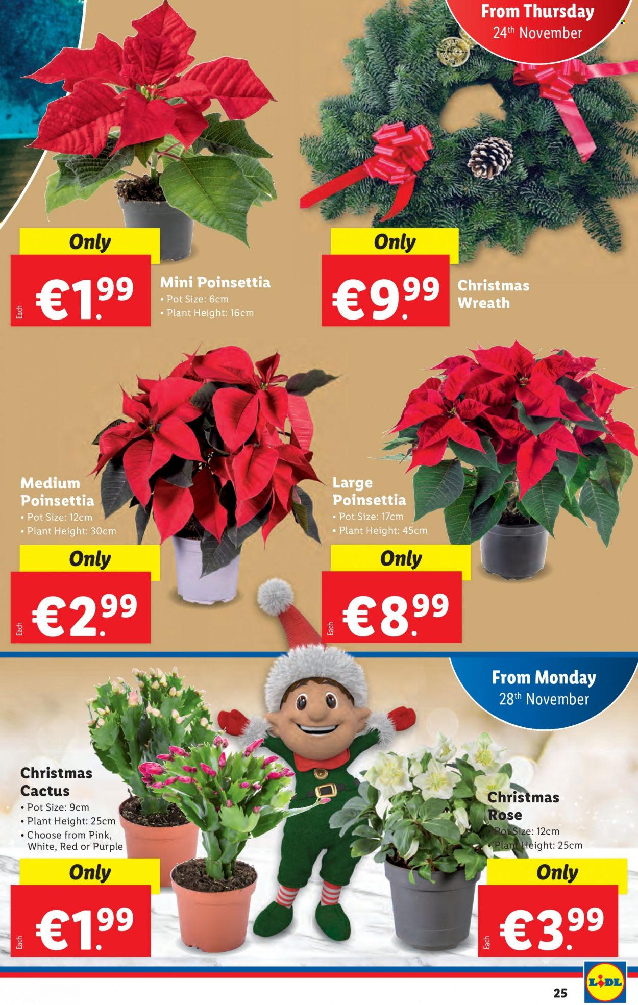 Lidl offer  - 24.11.2022 - 30.11.2022. Page 25.