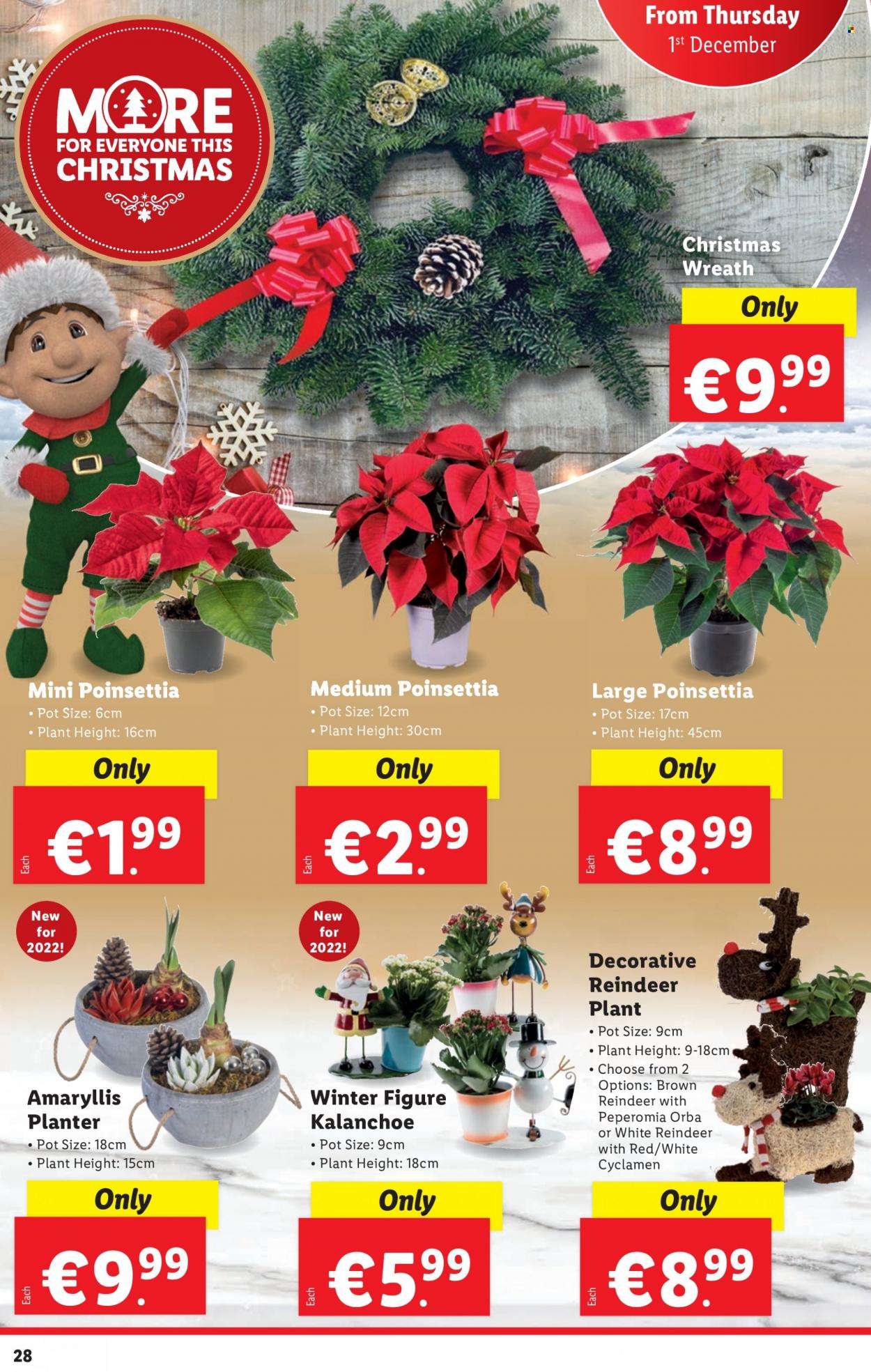 Lidl offer  - 1.12.2022 - 7.12.2022. Page 29.