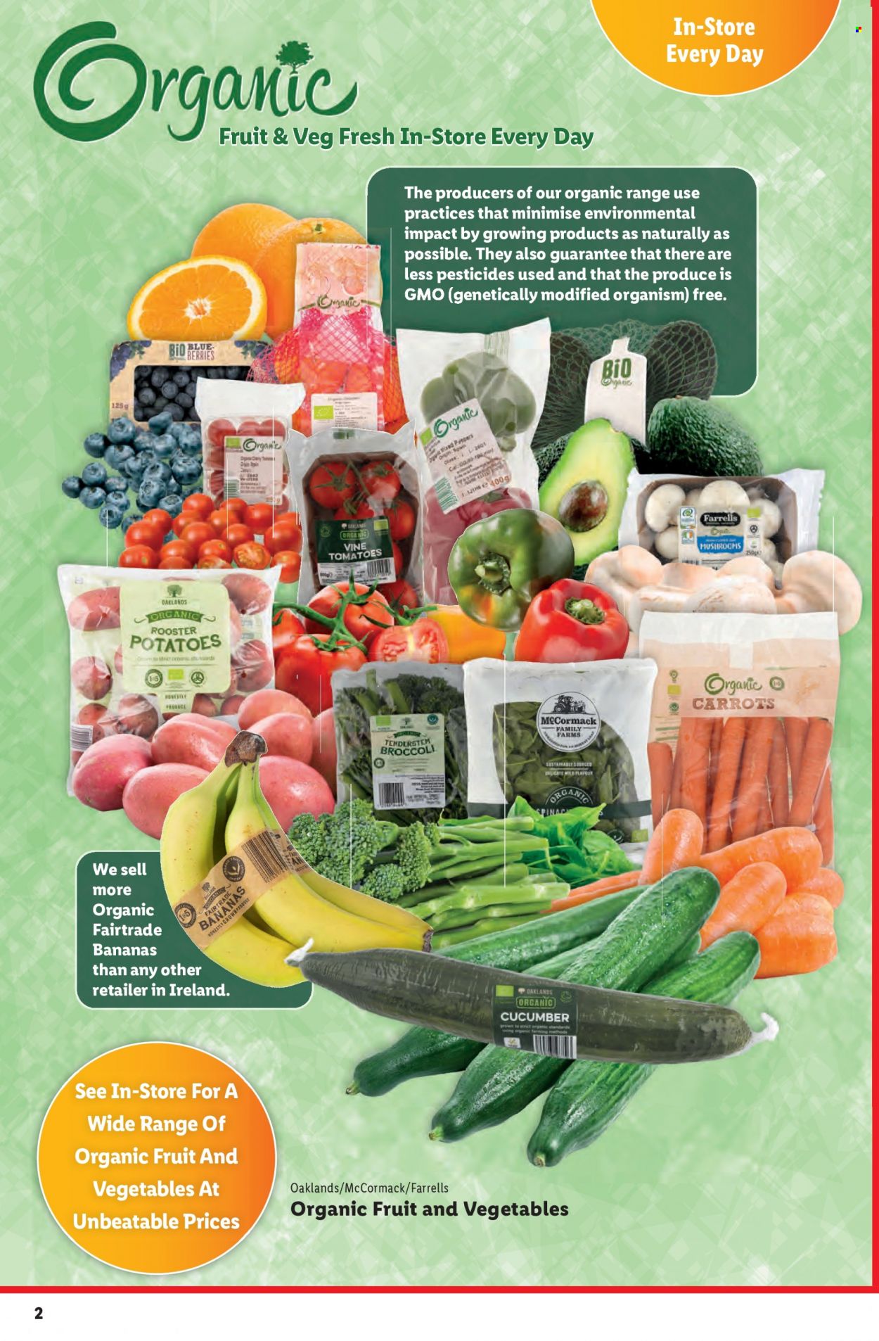 Lidl offer  - 26.01.2023 - 01.02.2023 - Sales products - broccoli, carrots, potatoes, peppers, bananas. Page 2.