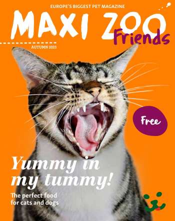 Maxi Zoo offer