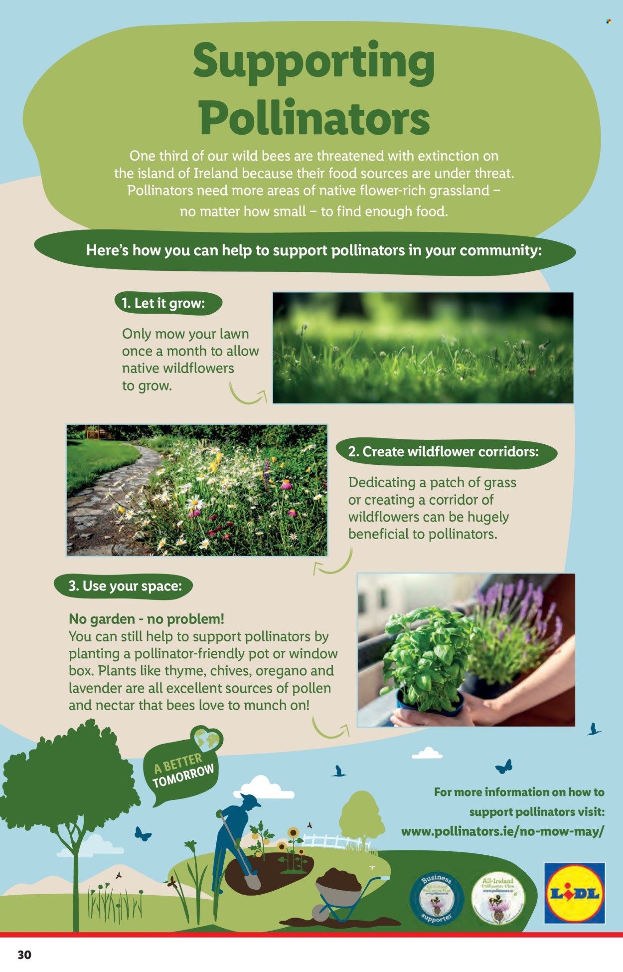 thumbnail - Lidl offer  - 02.05.2024 - 08.05.2024 - Sales products - chives, herbs, thyme, pot, P30, lavender. Page 30.