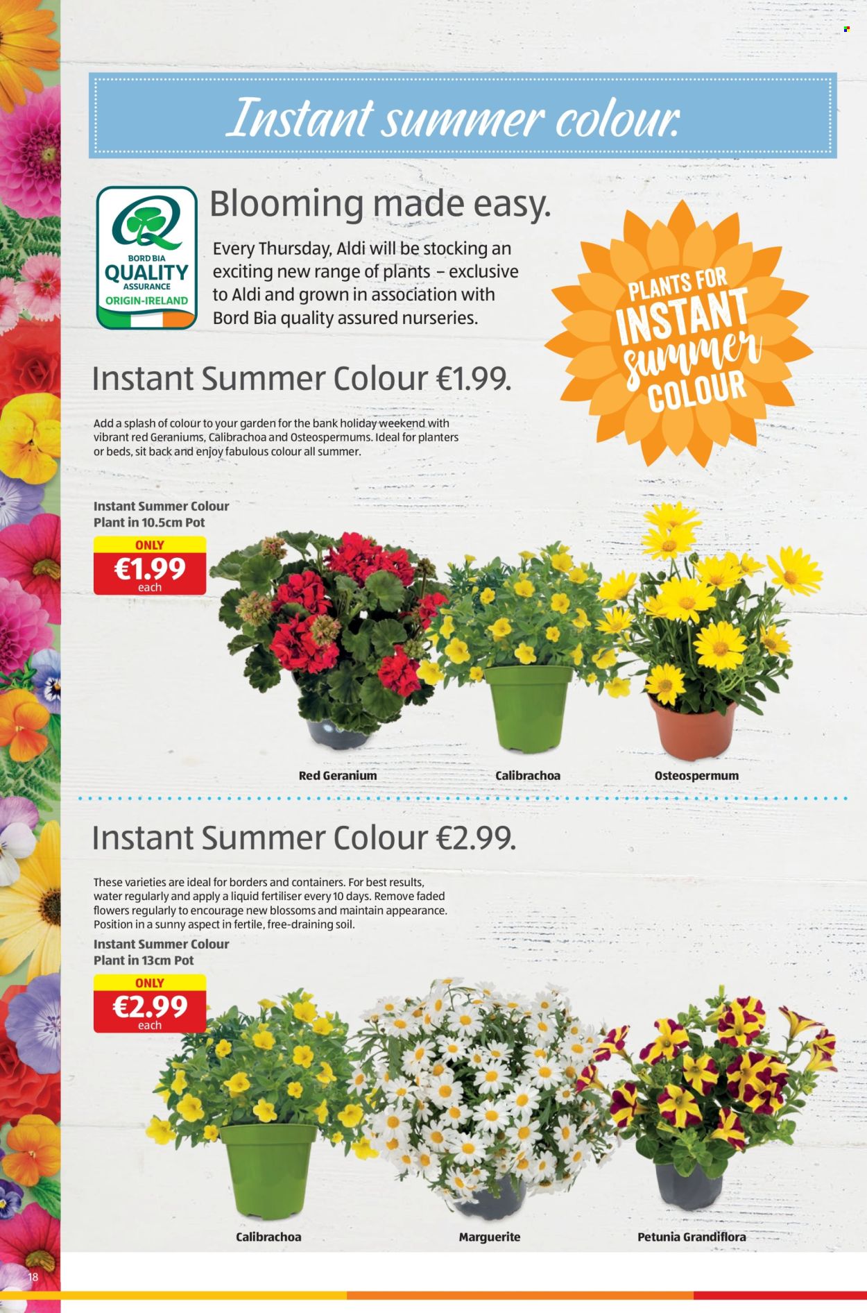 thumbnail - Aldi offer  - 02.05.2024 - 08.05.2024 - Sales products - Planters, water, container, fertilizer, flowers, Geranium, petunia, outdoor flowers. Page 18.