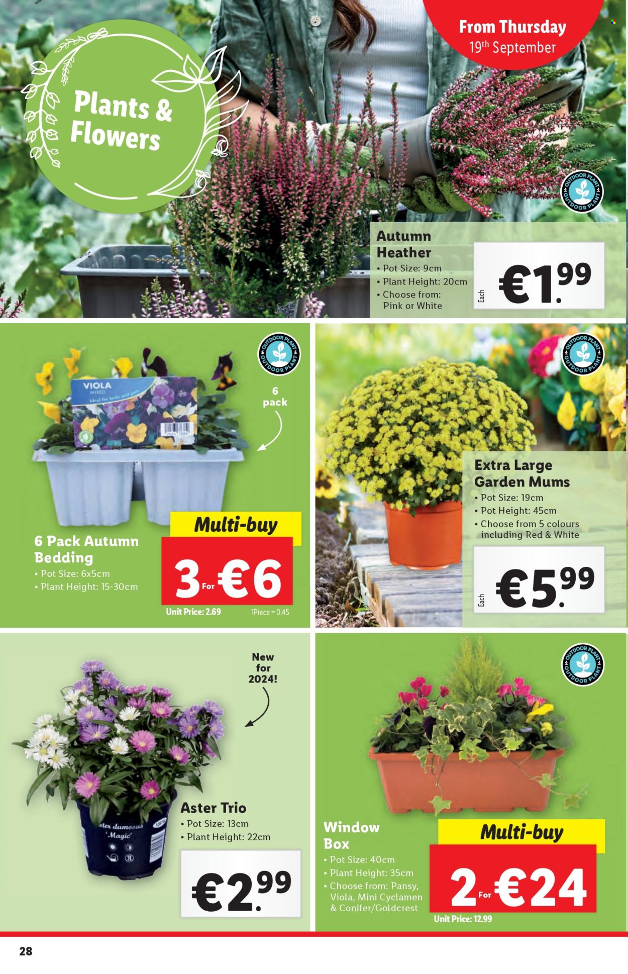 Lidl offer - 19.09.2024 - 25.09.2024. Page 28