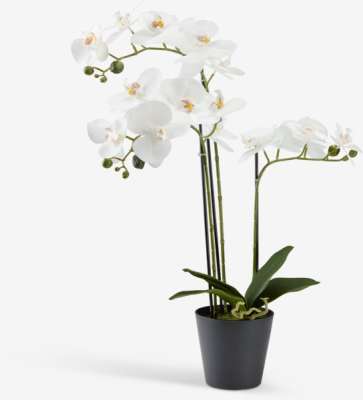 Artificial plant MATINUS H62cm w/flowers