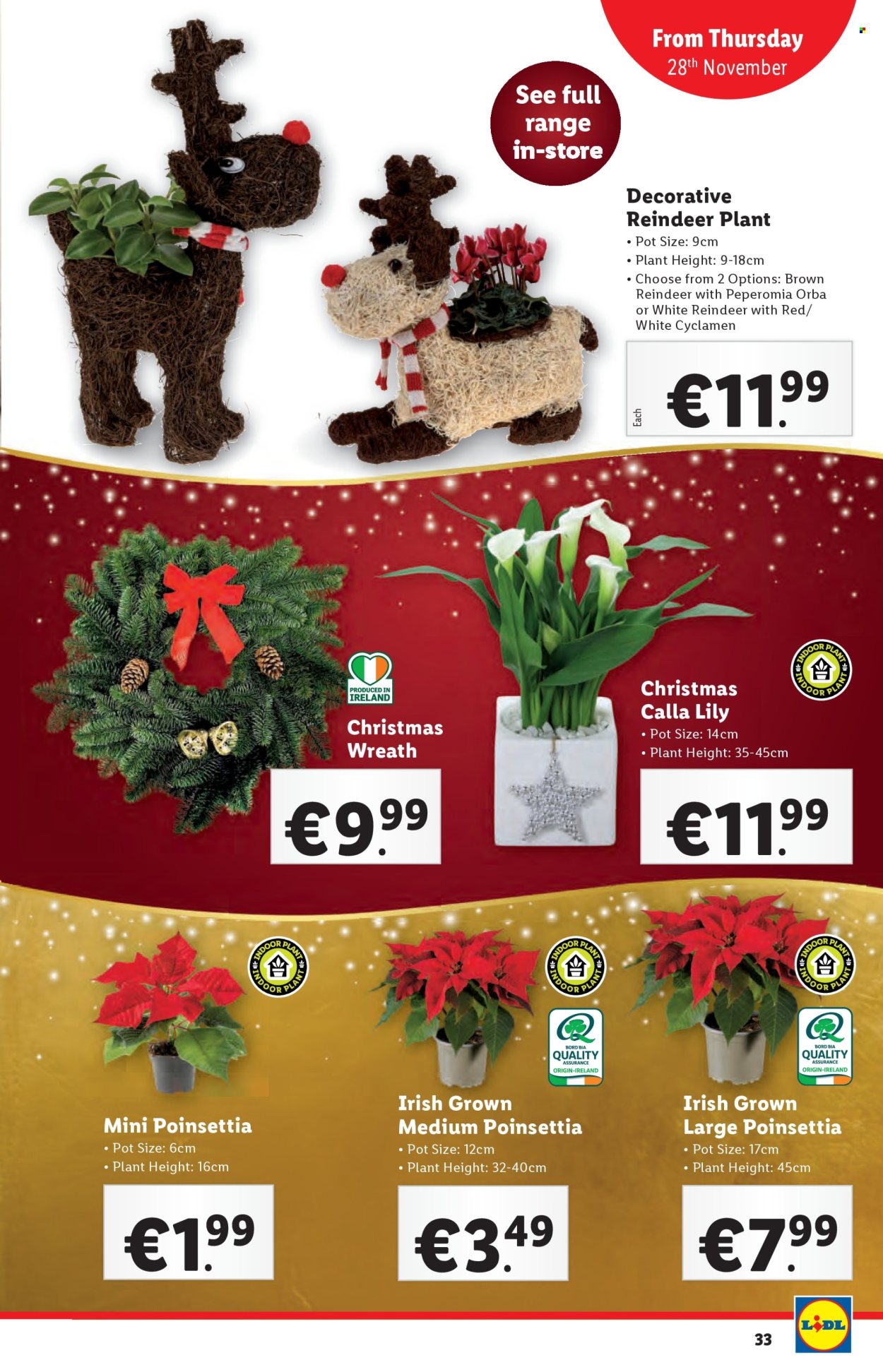 Lidl offer - 28.11.2024 - 04.12.2024. Page 1