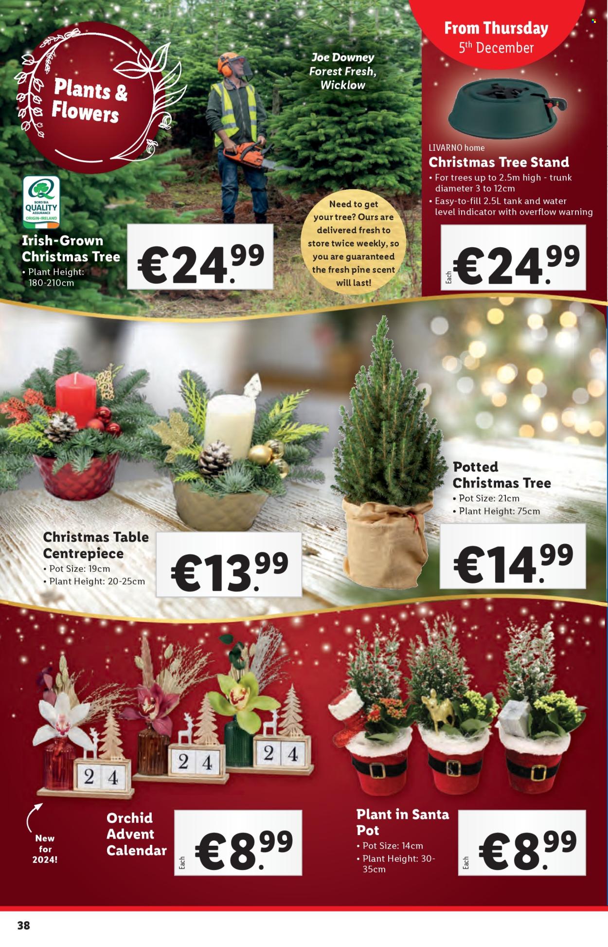 Lidl offer - 05.12.2024 - 11.12.2024. Page 1