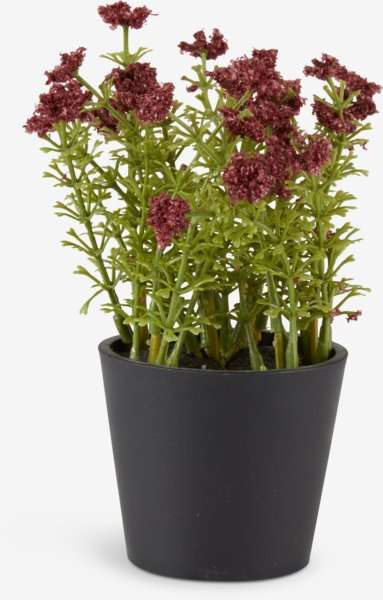 Artificial plant KALLE D13xH16 burgundy