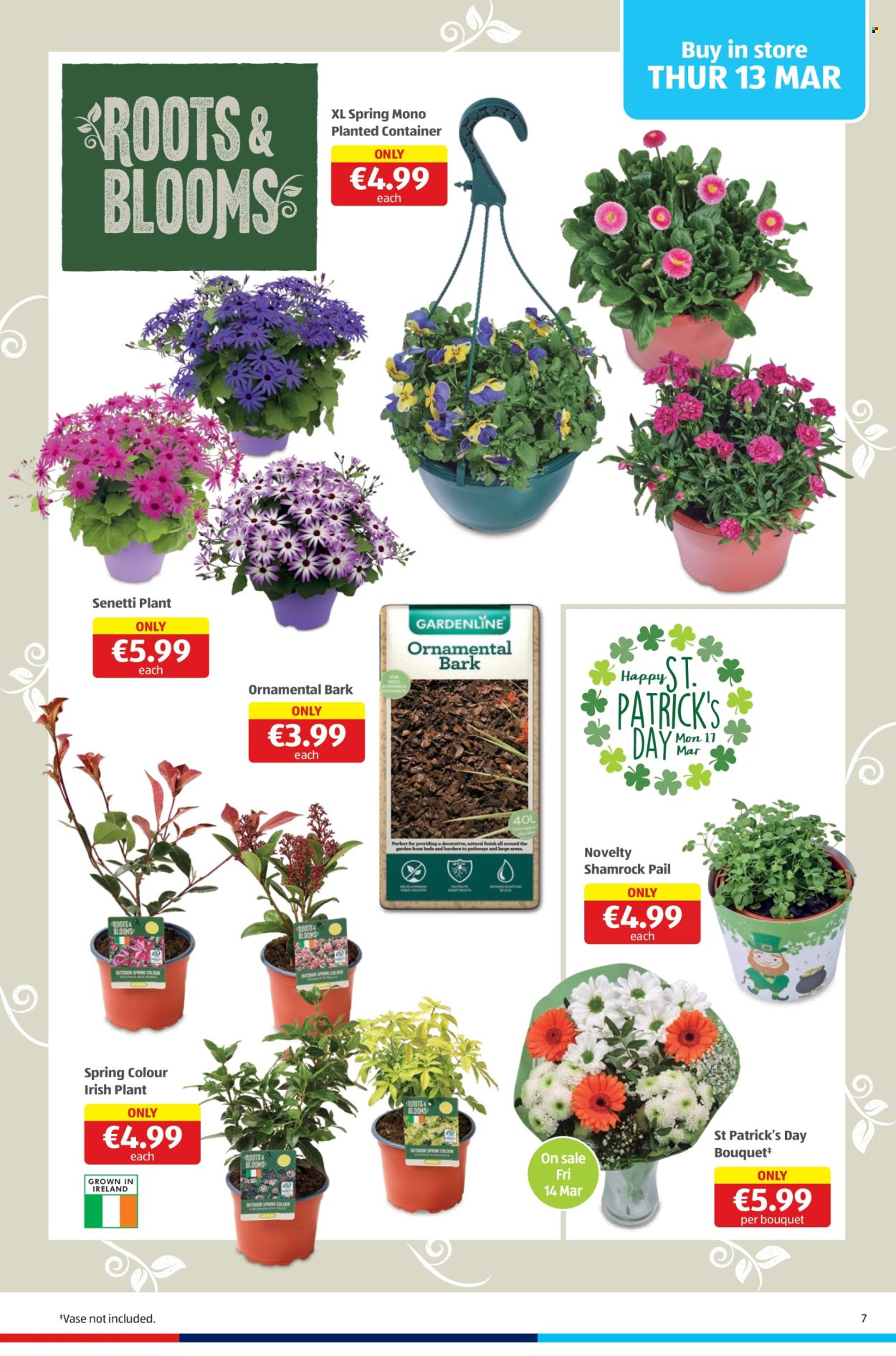 Aldi offer - 13.03.2025 - 16.03.2025. Page 1