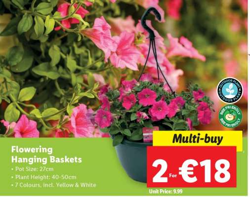 Flowering Hanging Baskets