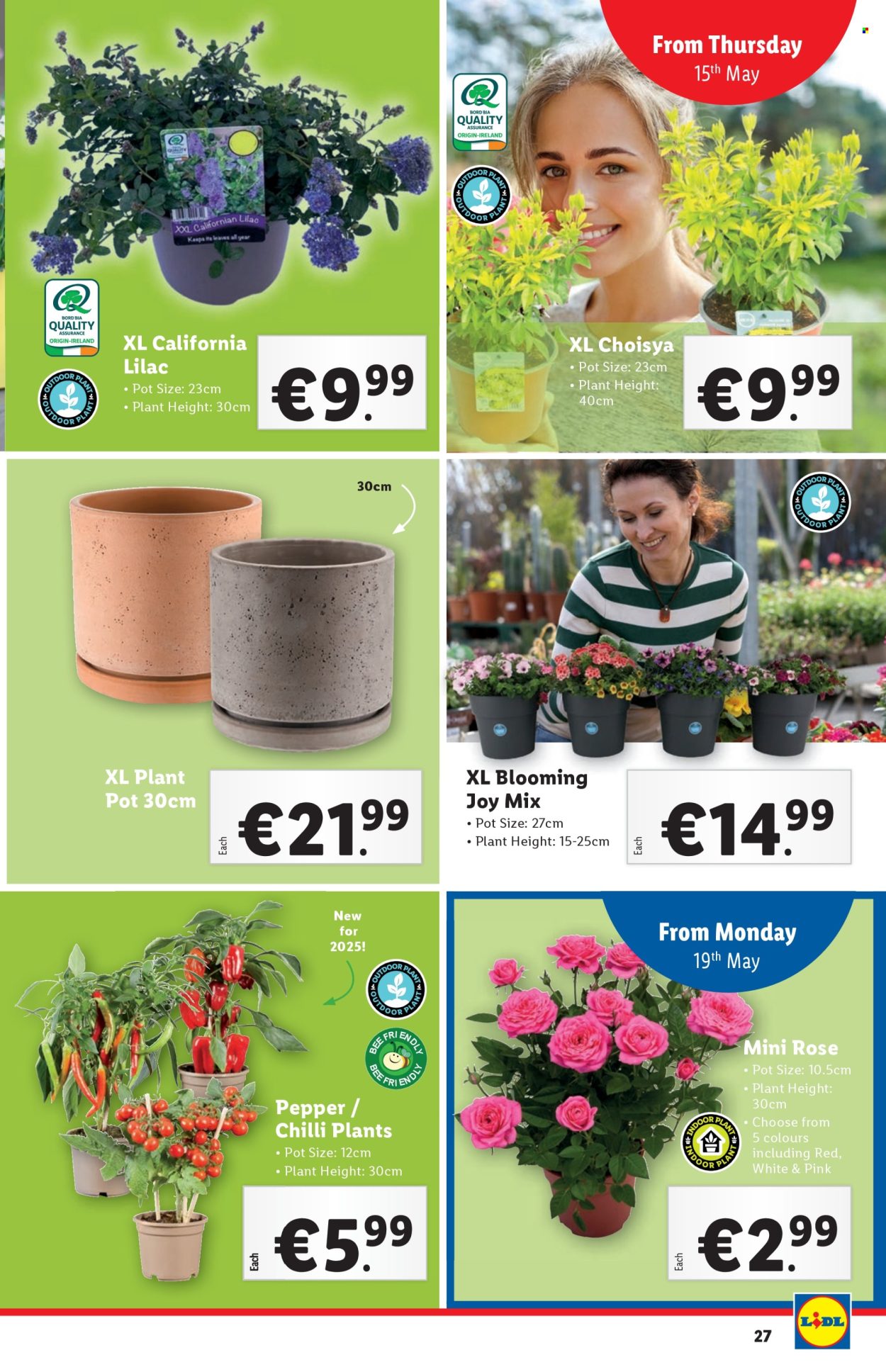 Lidl offer - 15.05.2025 - 21.05.2025. Page 1