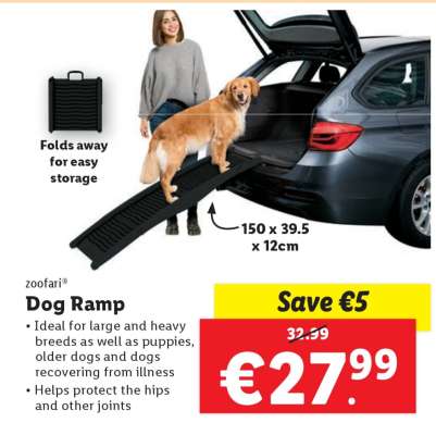 Dog Ramp