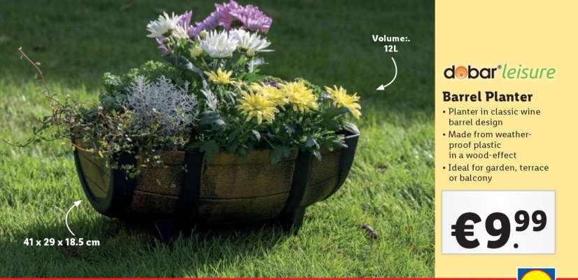 Barrel Planter