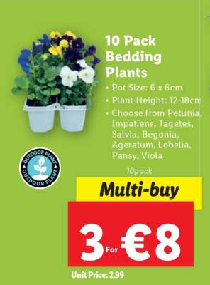 10 Pack Bedding Plants