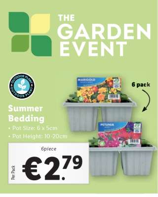 Summer Bedding