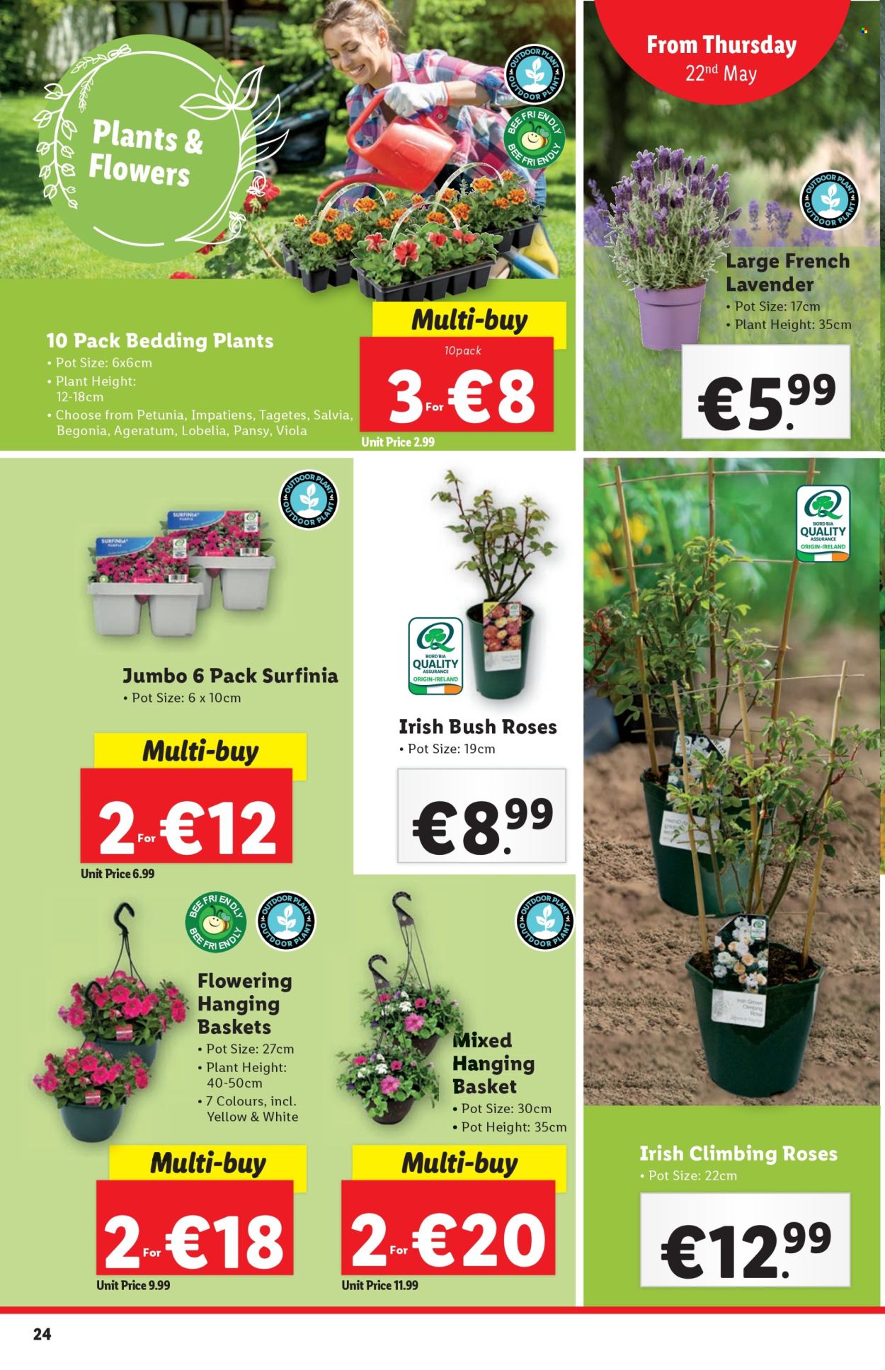 Lidl offer - 22.05.2025 - 28.05.2025. Page 1