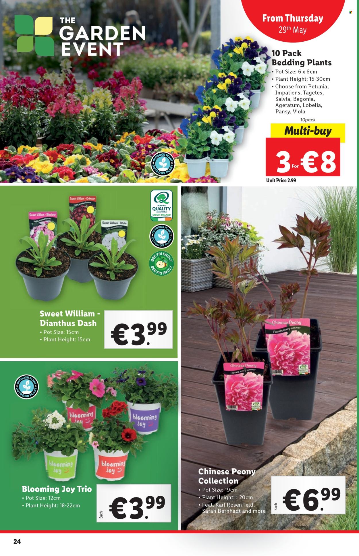 Lidl offer - 29.05.2025 - 04.06.2025. Page 1
