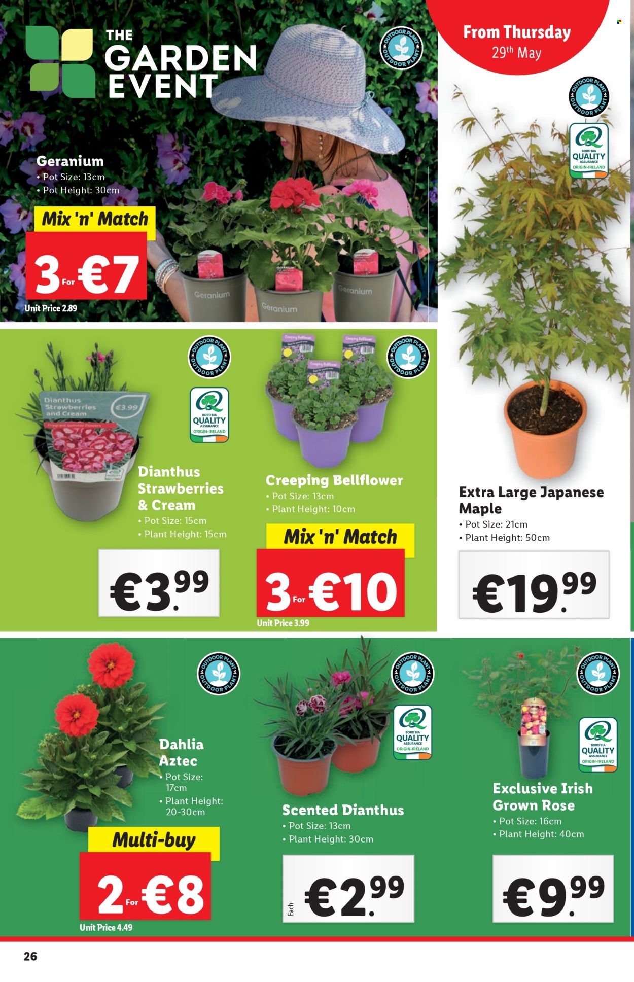 Lidl offer - 29.05.2025 - 04.06.2025. Page 1