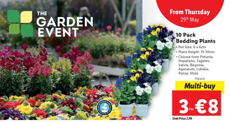 10 Pack Bedding Plants