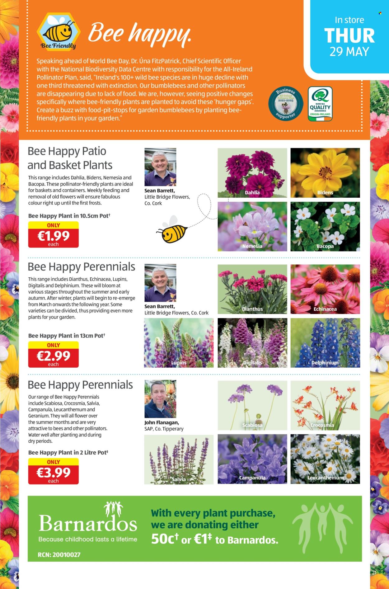 Aldi offer - 29.05.2025 - 01.06.2025. Page 21