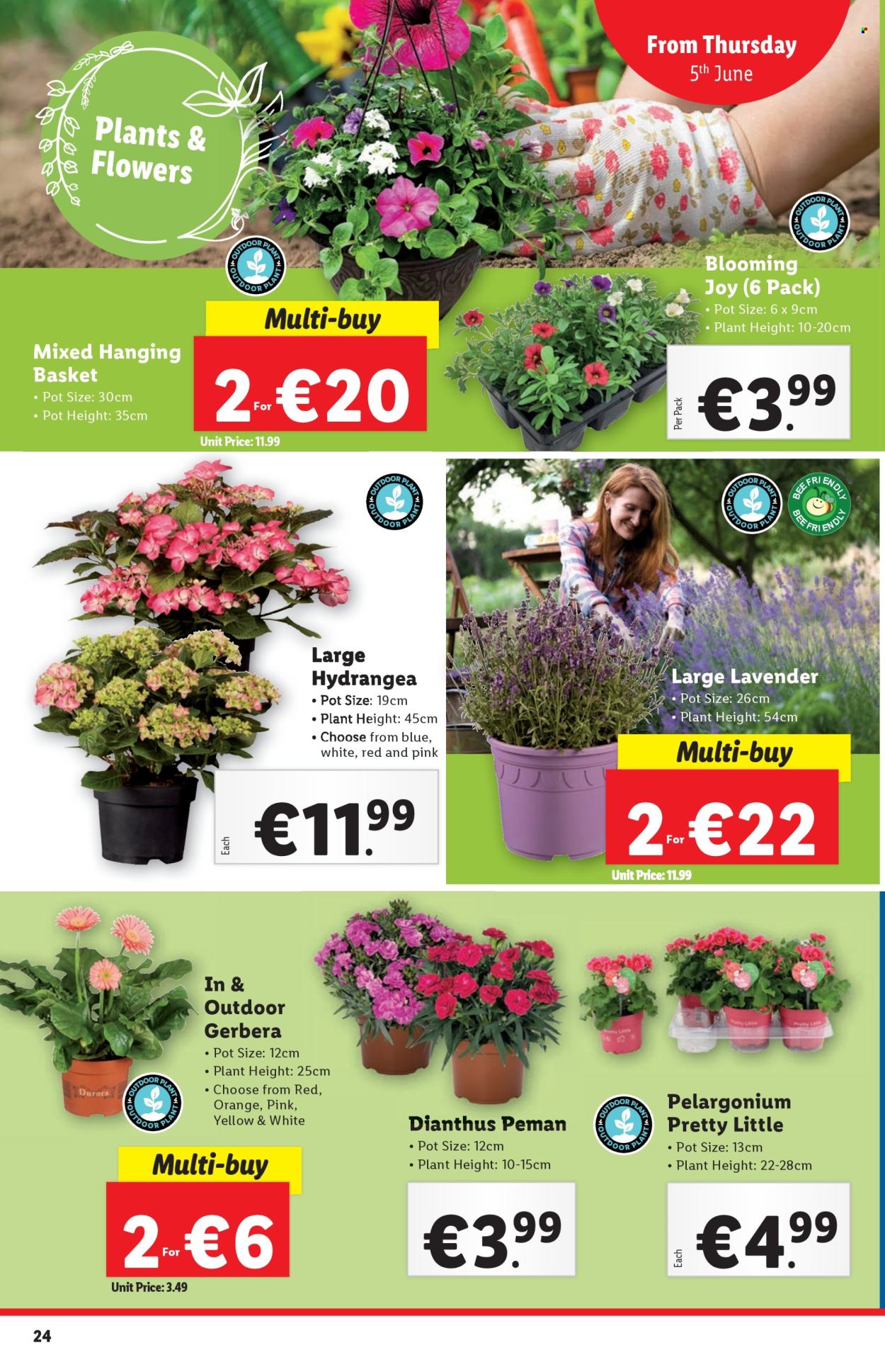 Lidl offer - 05.06.2025 - 11.06.2025. Page 24