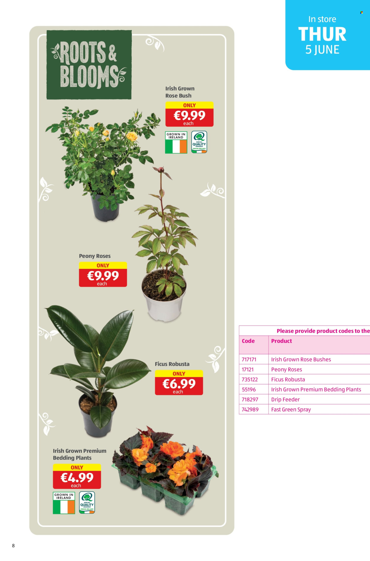 Aldi offer - 05.06.2025 - 08.06.2025. Page 8