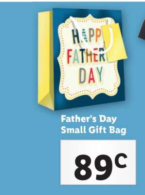 Father's Day Small Gift Bag