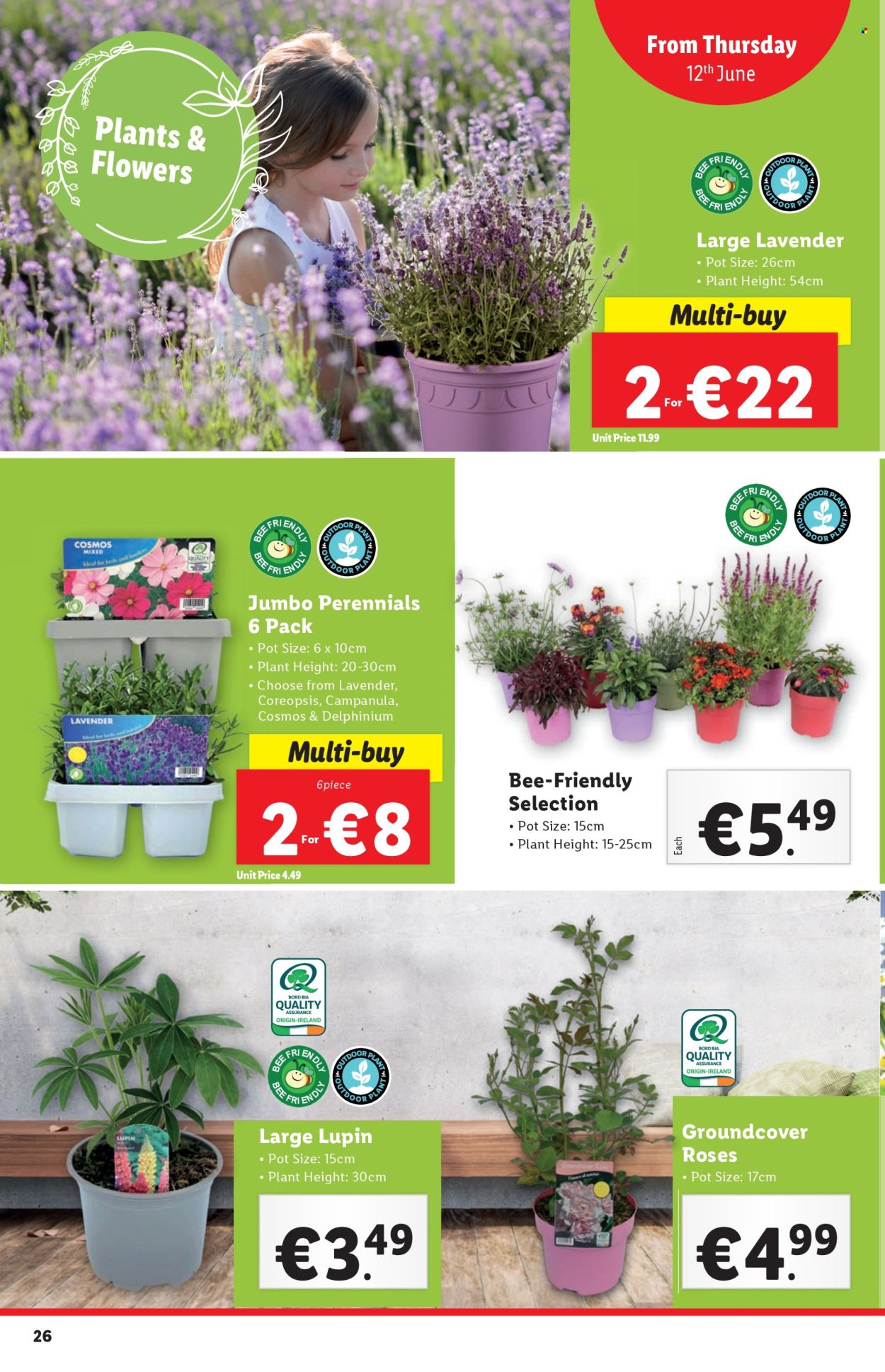 Lidl offer - 12.06.2025 - 18.06.2025. Page 26