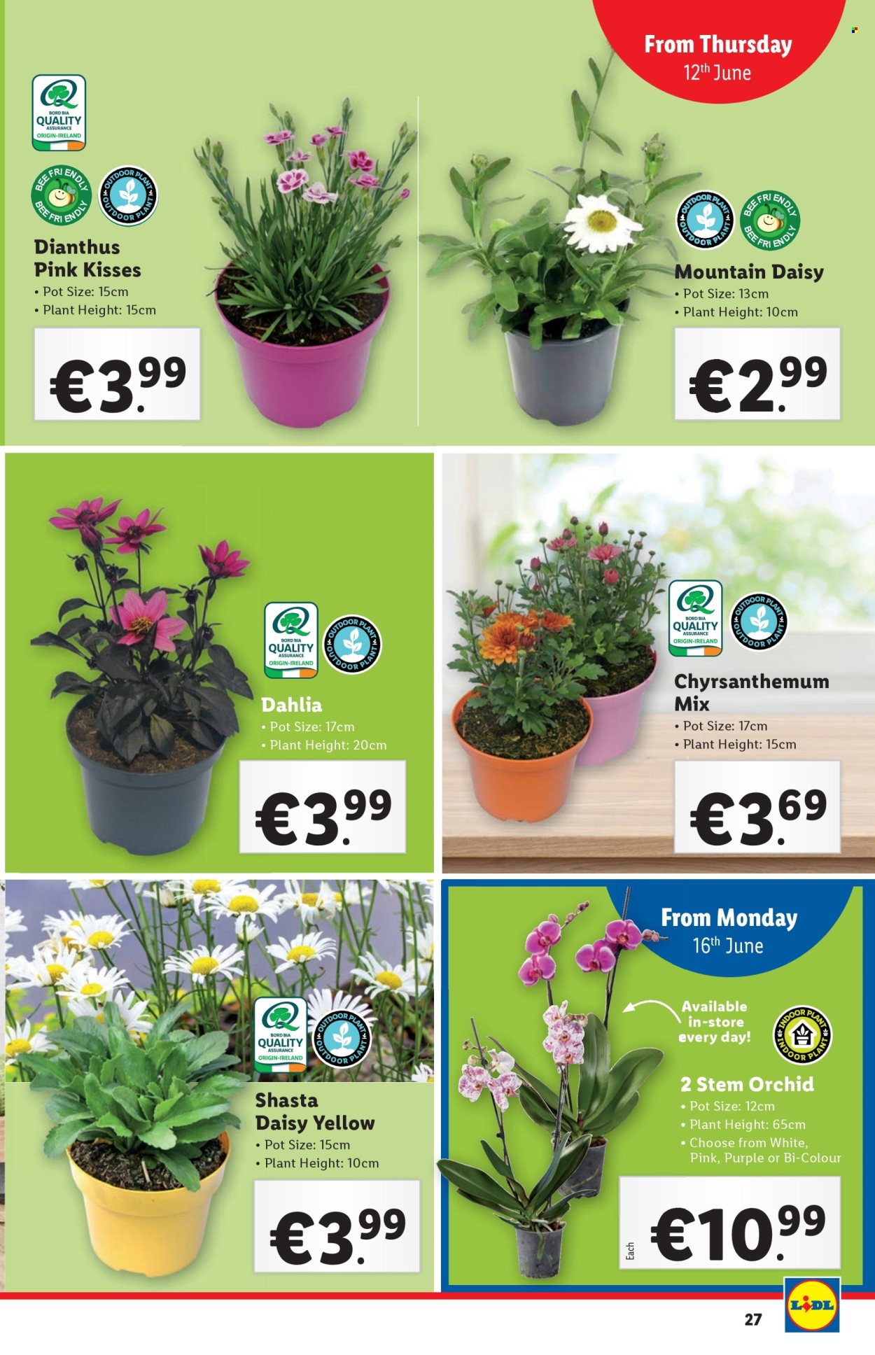 Lidl offer - 12.06.2025 - 18.06.2025. Page 27