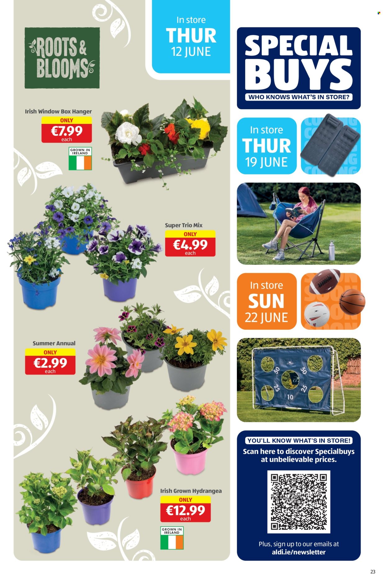 Aldi offer - 12.06.2025 - 15.06.2025. Page 23