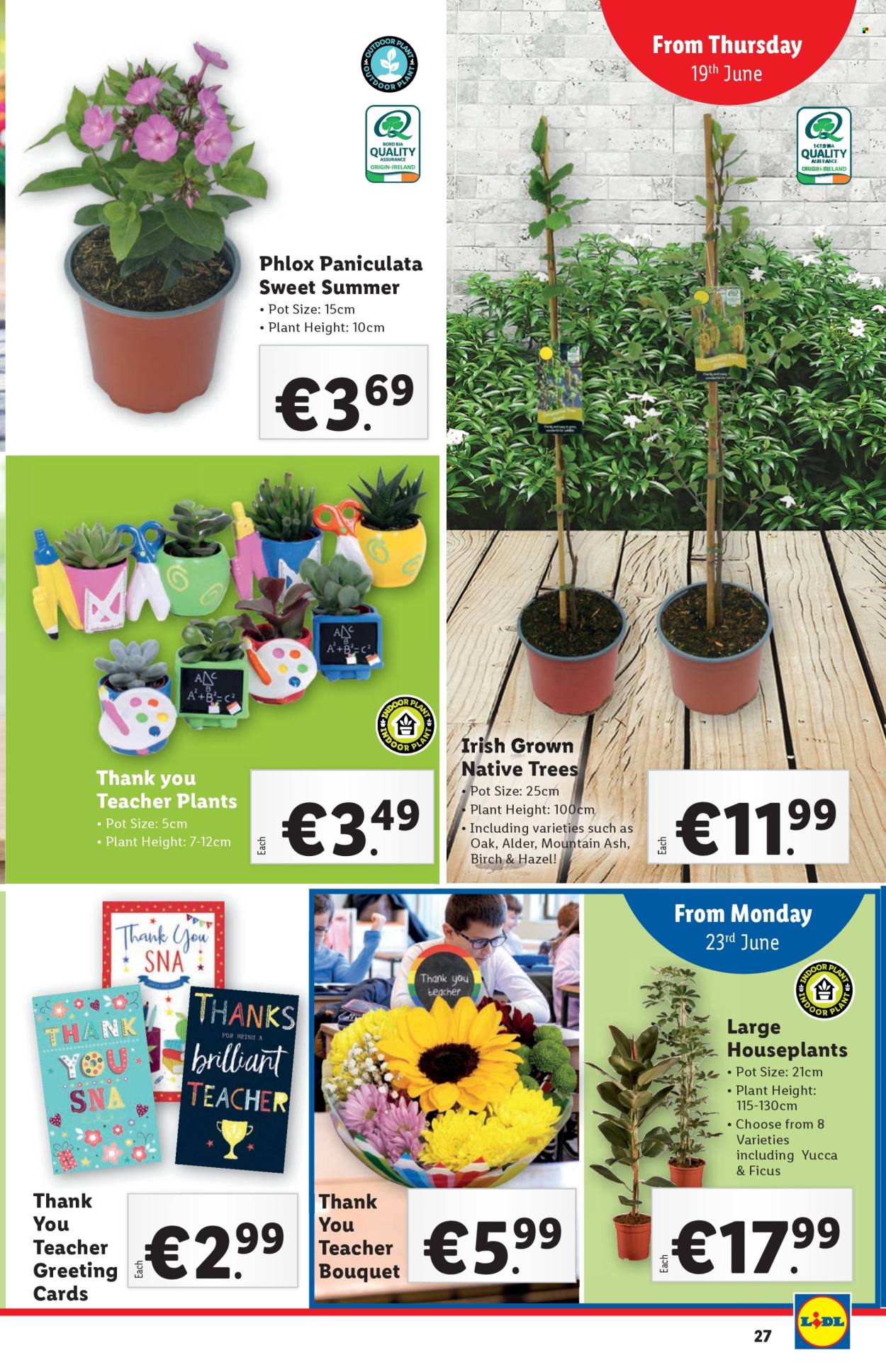 Lidl offer - 19.06.2025 - 25.06.2025. Page 27