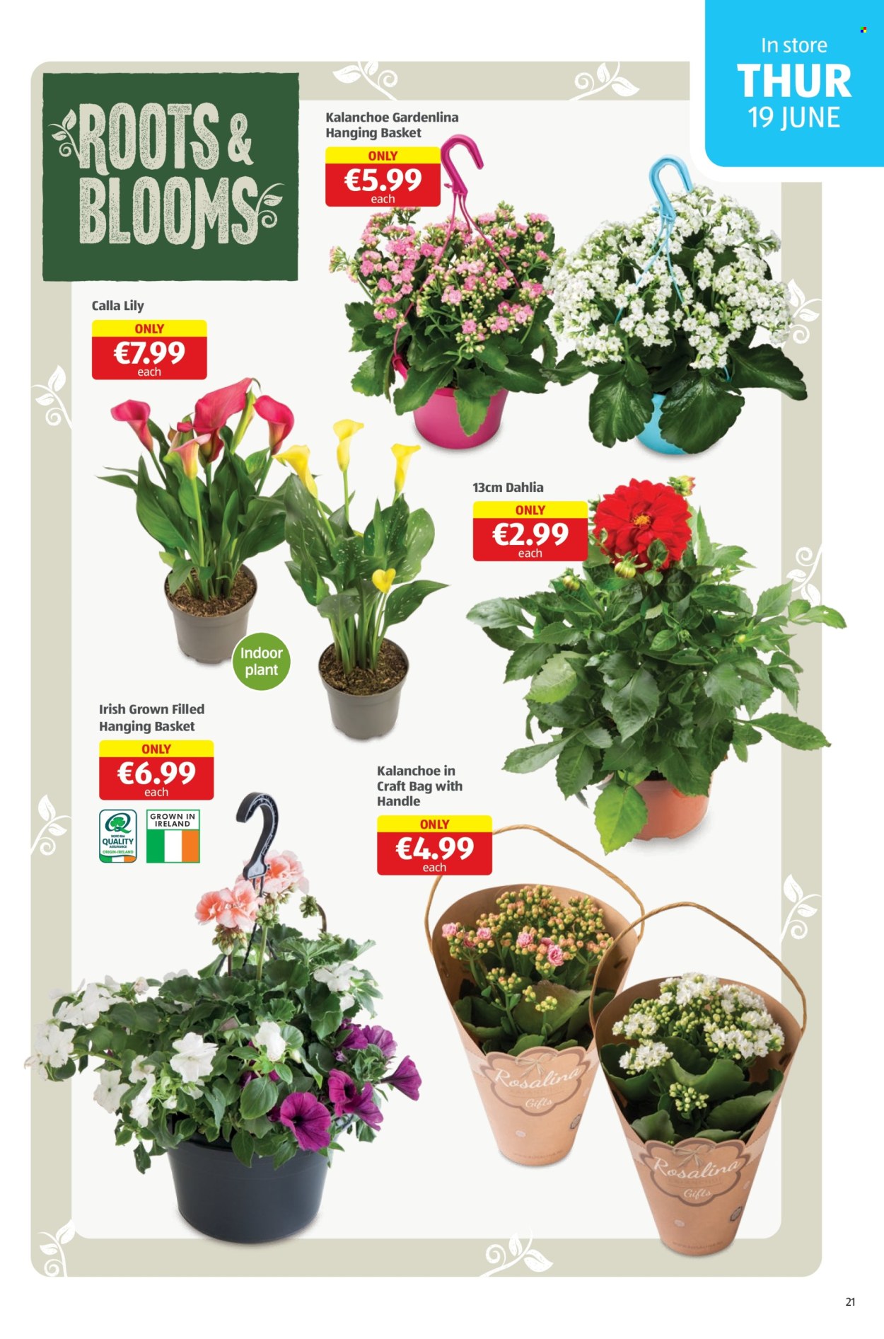 Aldi offer - 19.06.2025 - 22.06.2025. Page 21