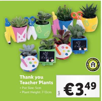 Thank you Teacher Plants