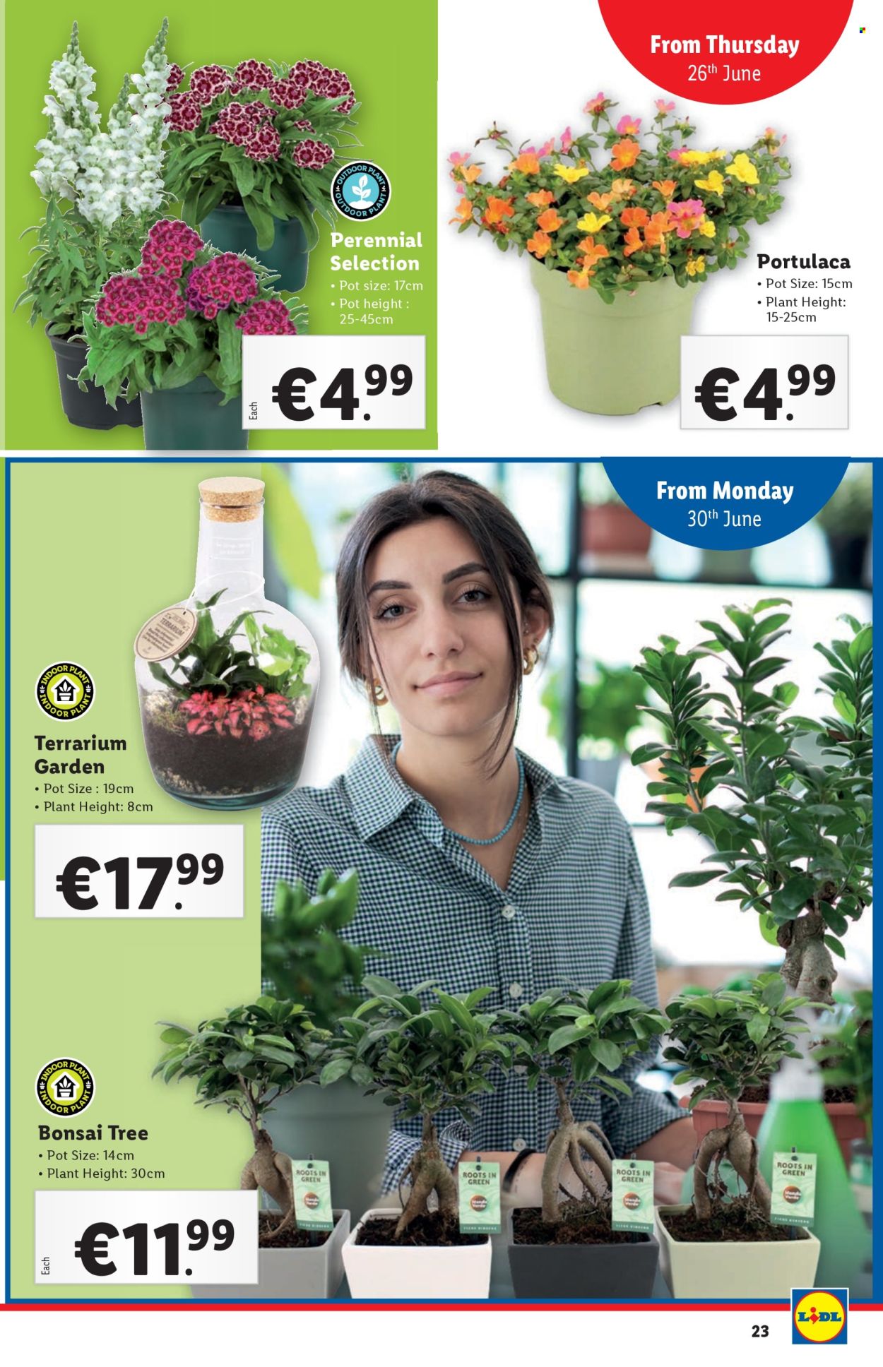 Lidl offer - 26.06.2025 - 02.07.2025. Page 23